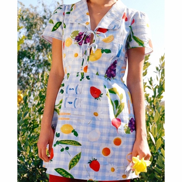 Lisa Says Gah Dresses & Skirts - Lisa Says Gah Alexa Picnic Alfresco Mini Shirt Dress Blue Gingham Food L